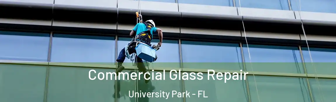  Commercial Glass Repair University Park - FL