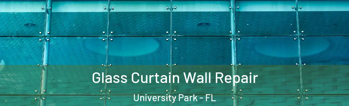  Glass Curtain Wall Repair University Park - FL