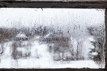 Defogging Double Pane Windows in University Park, FL
