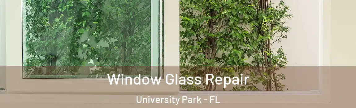  Window Glass Repair University Park - FL