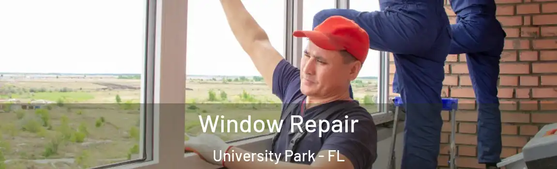 Window Repair University Park - FL