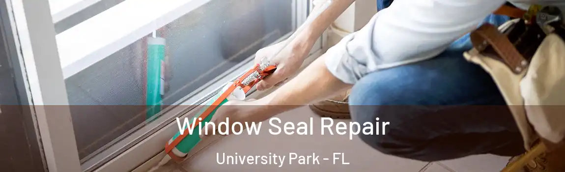  Window Seal Repair University Park - FL